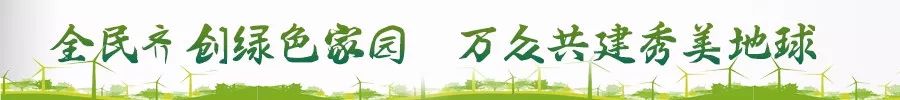 内蒙古老龄补贴新政策,内蒙古农村养老服务业范围