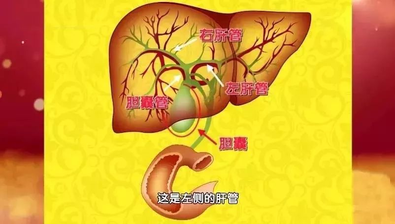 身体健康有这8个预兆,身体越来越硬什么原因