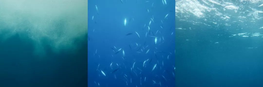 夏威夷旅游攻略阿罗哈,夏威夷maui岛旅游攻略