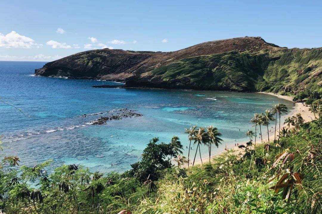 夏威夷旅游攻略阿罗哈,夏威夷maui岛旅游攻略