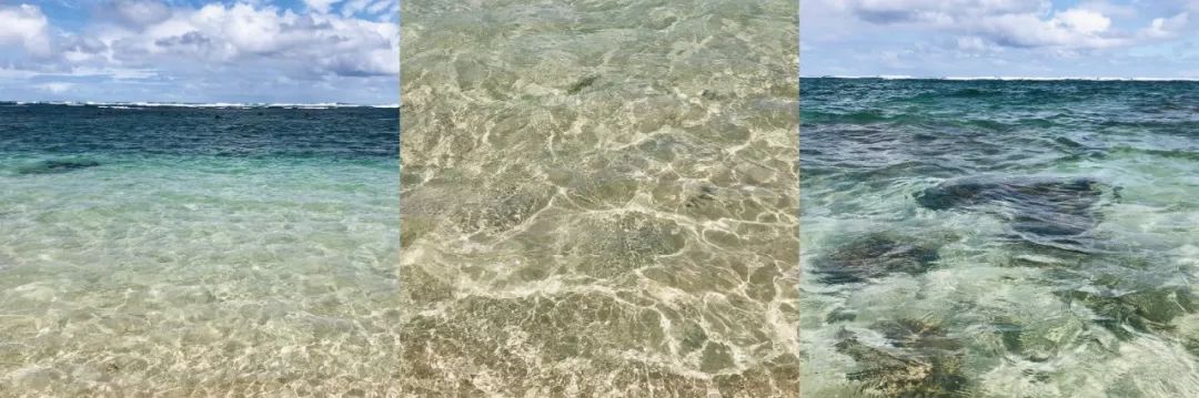 夏威夷旅游攻略阿罗哈,夏威夷maui岛旅游攻略