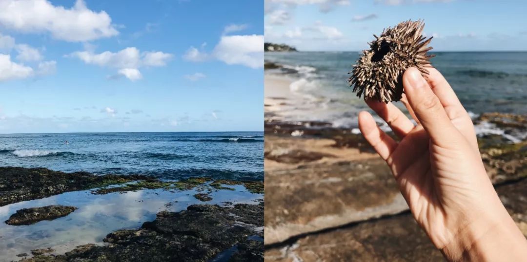 夏威夷旅游攻略阿罗哈,夏威夷maui岛旅游攻略