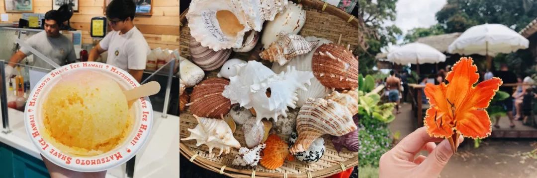 夏威夷旅游攻略阿罗哈,夏威夷maui岛旅游攻略