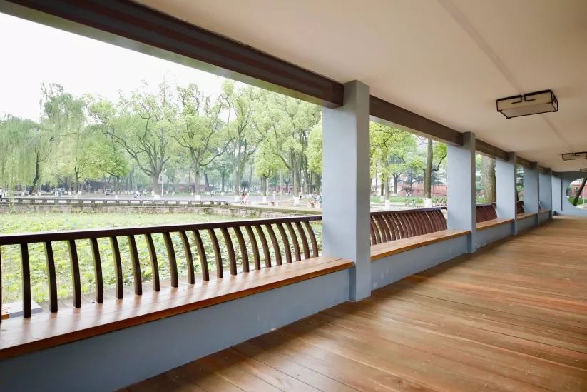 仙气荷池、时光走廊、滨湖绿道……川大持续惊艳焕颜！同学：这是仙境吗？