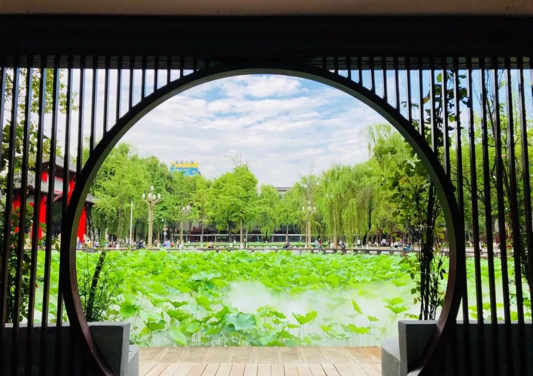 仙气荷池、时光走廊、滨湖绿道……川大持续惊艳焕颜！同学：这是仙境吗？