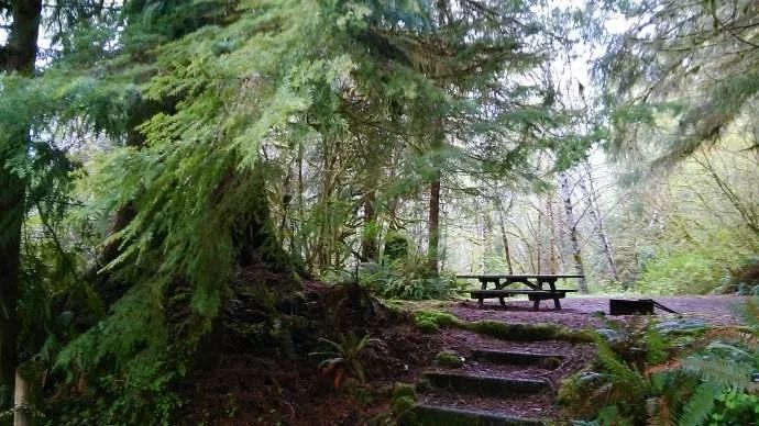 神奇的西雅图，是你心里的哪座城吗？