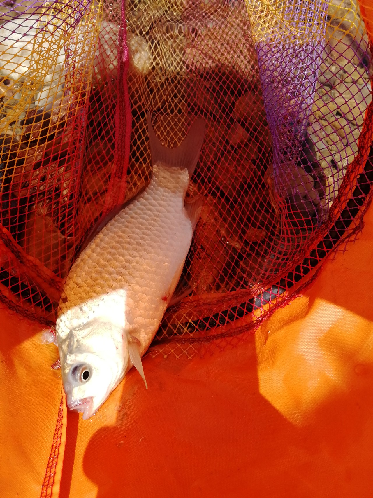 矶竿滑漂新玩法,矶钓滑漂完怎么收竿