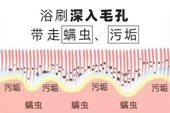 搓背不求人沐浴刷,搓背不求人的搓澡刷