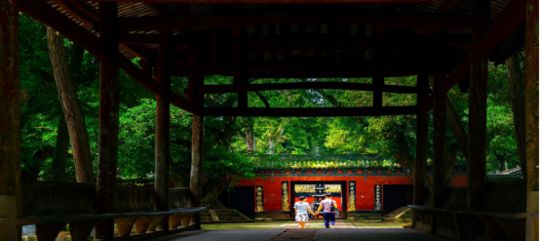 夸夸我的三台！今非昔比古梓州！