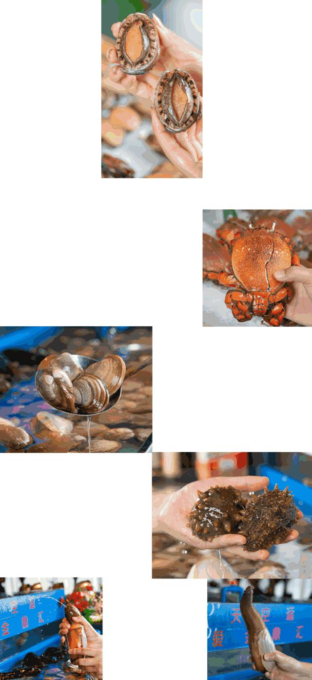 金鼎汇海鲜,金鼎汇海鲜自助现在还有吗