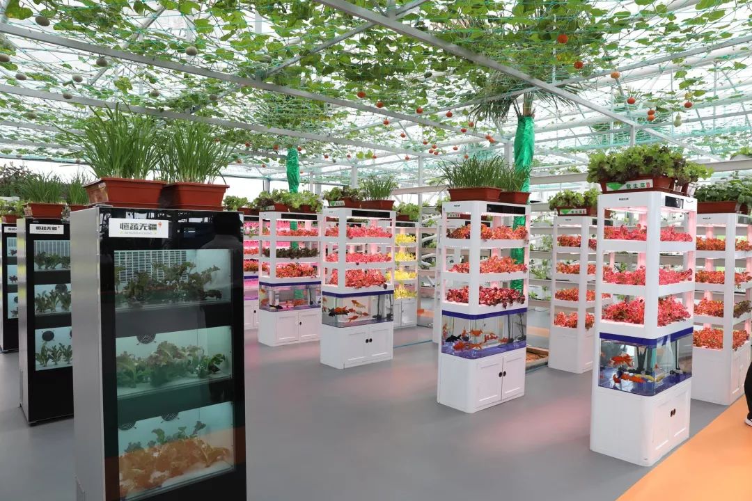 激情干事,激情燃烧干事创业