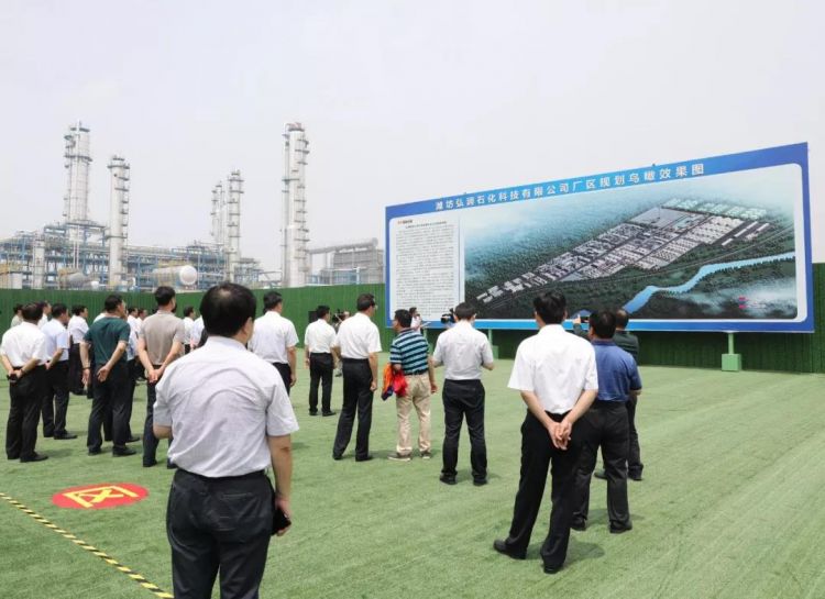 乡村振兴百村示范项目,乡村振兴双百典型示范工程