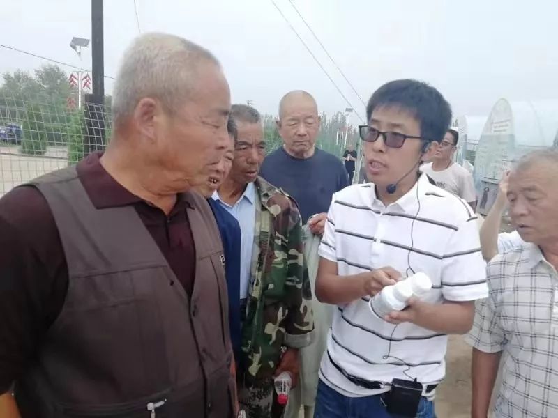 鄂尔多斯智能温室无土栽培,智能温室无土栽培作物有哪些