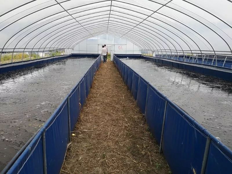 创新创业大赛亮点,大创项目和创新创业大赛