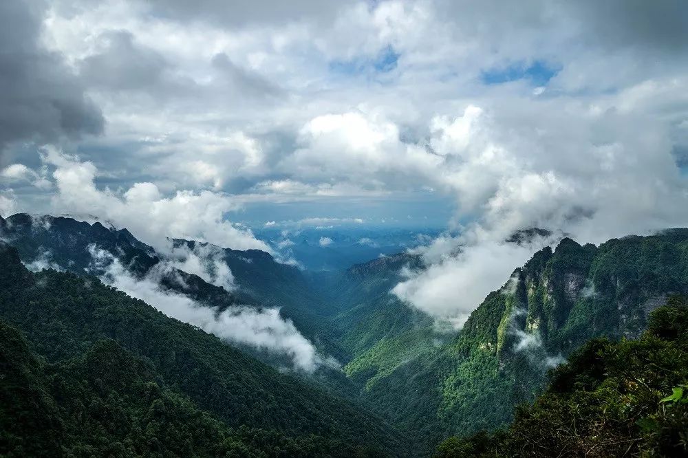 大明山视频播放,大明山视频完整版