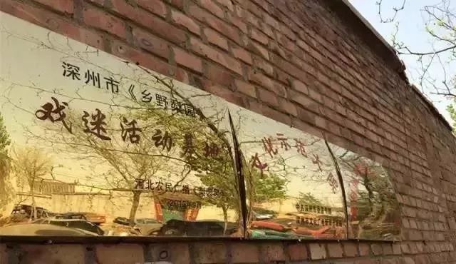 今日new衡水丨衡水1女子4只手指被绞断！高速上，一头乱窜的猪闯祸了···