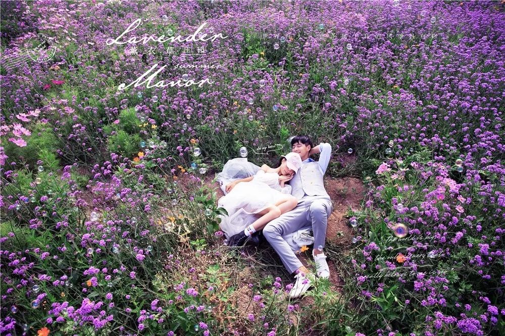 纽约周年庆,纽约时代广场周年庆