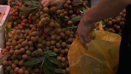 广州市水果市场热闹吗,广州水果市场有杨梅