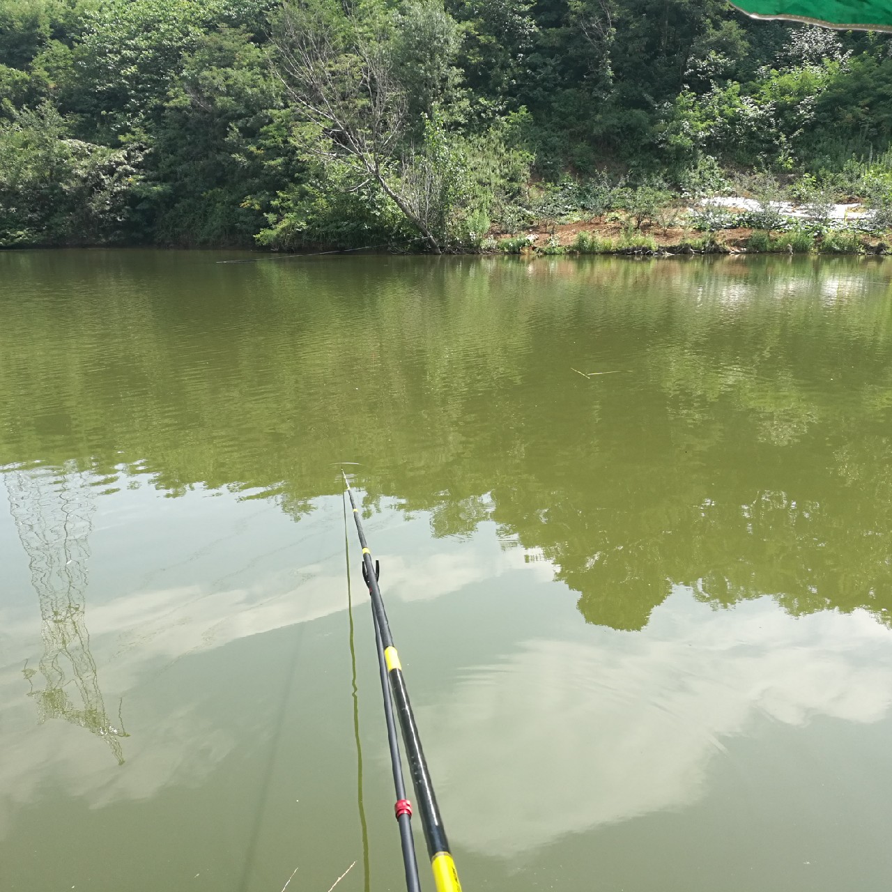 黑坑第二三场钓不到鱼,黑坑鱼竿第二节容易断