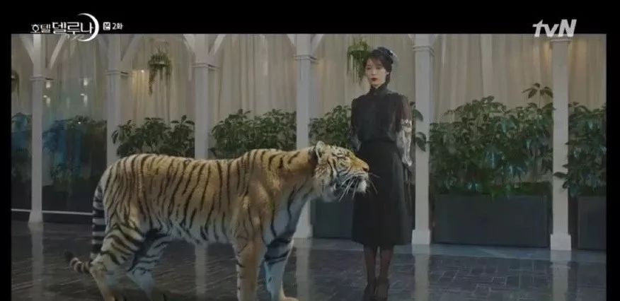 iu德鲁纳女社长,iu德鲁纳酒店歌曲anotherday