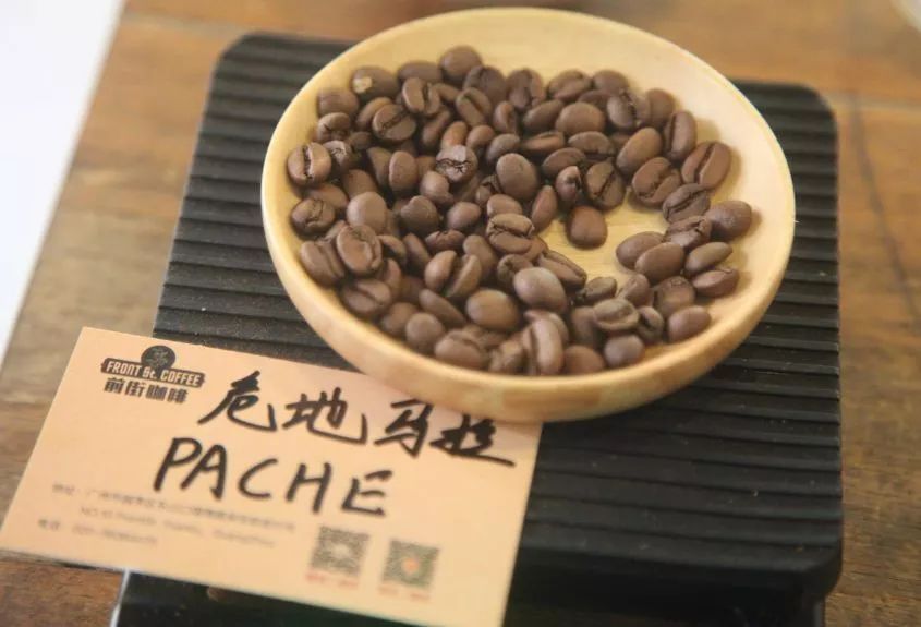 危地马拉小蓝莓庄园「帕奇」品种咖啡「冲煮方案」分享