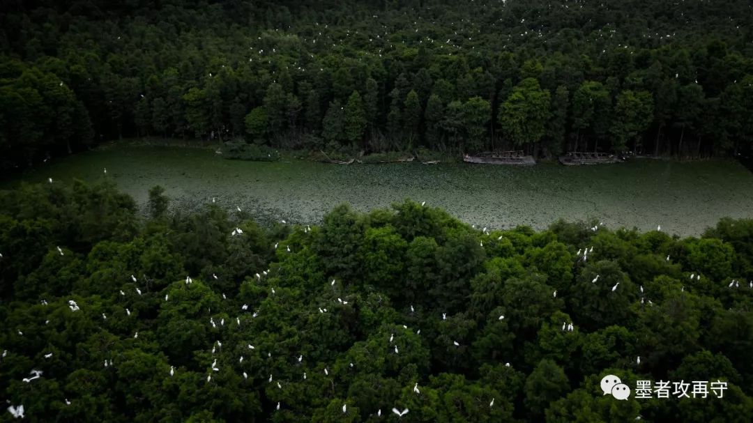 常熟是怎么样的一座城