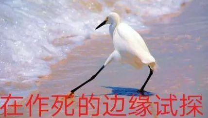 刘飞儿酒店直播，洗完头直播间没了？