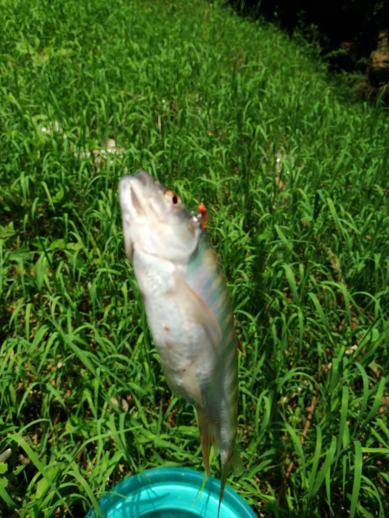 冷饭剩菜不为奇，百里奔袭只为快乐而渔