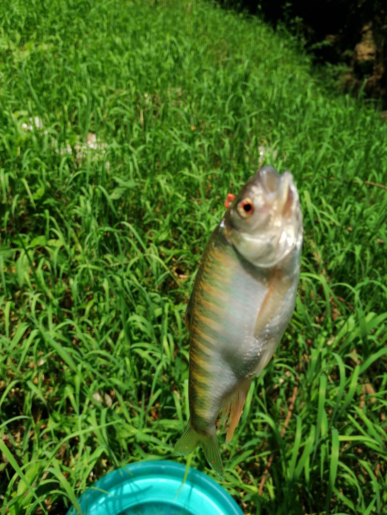 冷饭剩菜不为奇，百里奔袭只为快乐而渔