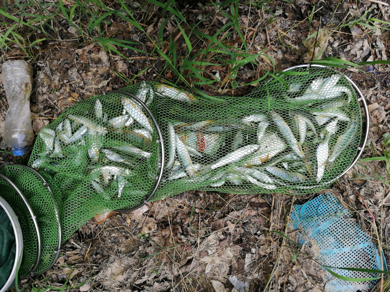 冷饭剩菜不为奇，百里奔袭只为快乐而渔