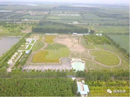 水塘成方，鱼翔浅底！看兖州塌陷地上的乡村振兴