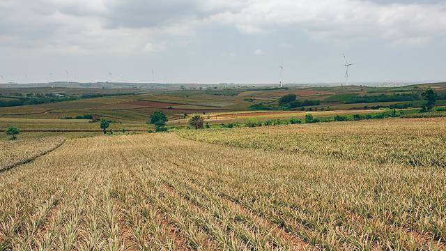 大陆之南，粤西越美，被旅行者忽略的处女地——雷州半岛