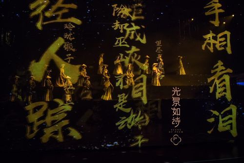 媒体艺术之都美术作品,媒体艺术之都照片