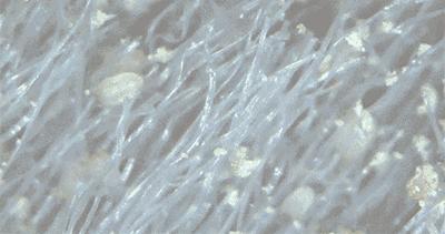 日本人都用这款除螨仪,除螨仪第三代