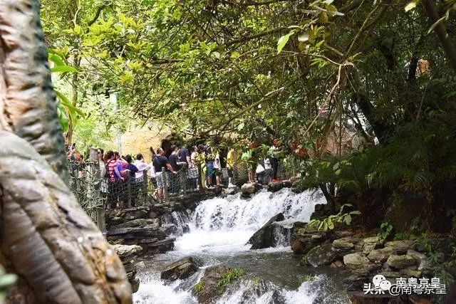 清凉一夏打卡,广东清凉好去处古龙峡