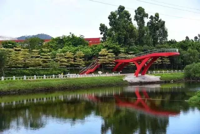 厦门哪些免门票景点好玩,厦门哪里好玩又免费的景点推荐