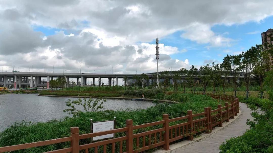 【图说】徐泾水环境“成绩单”出炉，一组图片眼见为实