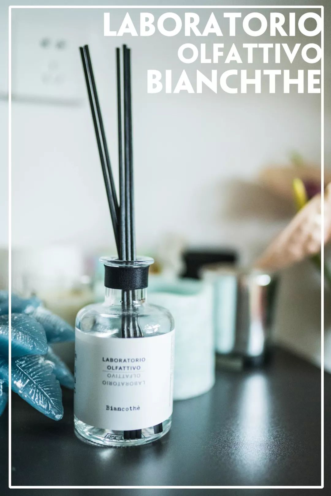 8月爱用|“你想结婚的理由很新颖。”