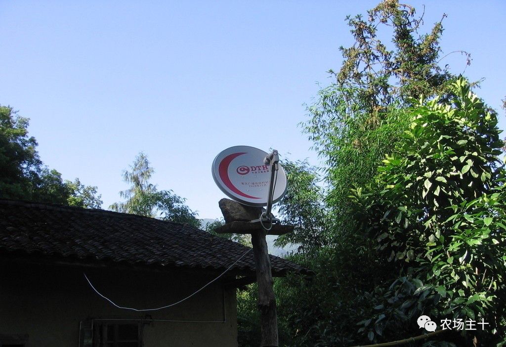 利润很吓人的100个冷门创业项目,一天1000元利润的创业项目