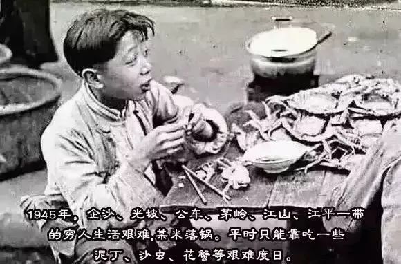 提醒吃海鲜的人们,广西开海节吃海鲜