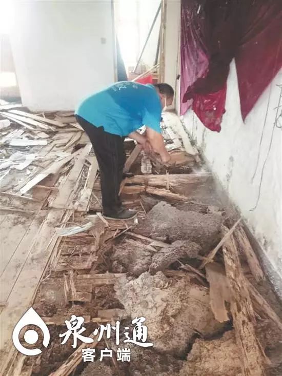 小心毒虫视频,警惕这种虫有人被咬后差点没命