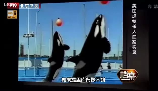 丧心病狂！每帧画面都在捅刀子，多少人忽视了这些人间惨剧…