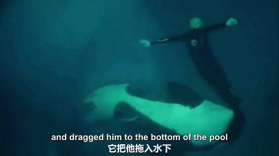 丧心病狂！每帧画面都在捅刀子，多少人忽视了这些人间惨剧…