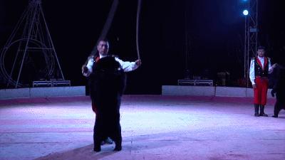 丧心病狂！每帧画面都在捅刀子，多少人忽视了这些人间惨剧…