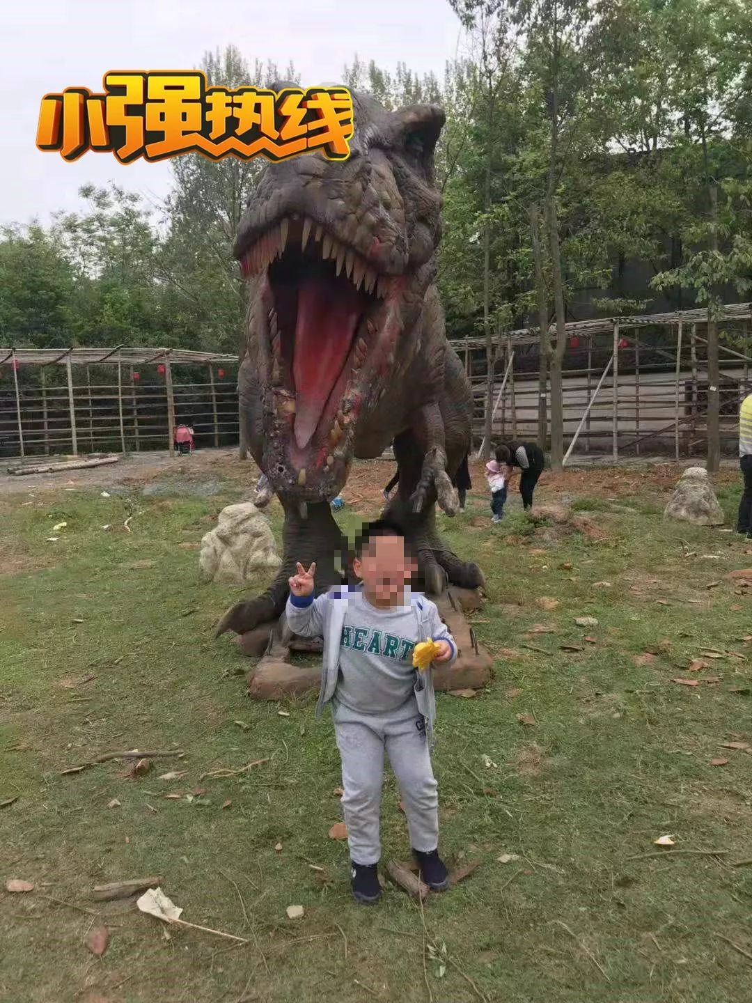 悲剧6岁男孩吃面包出事了,杭州店员好心给6岁男孩吃面包