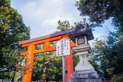 椋庨泤涔嬭嚧,鏃ユ湰浜兘鐢熸椿缇庡