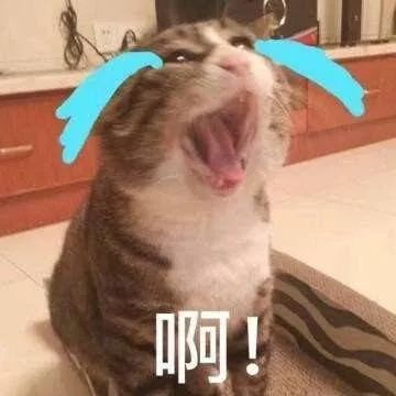 不去澳门可以去拱北口岸买东西吗,去澳门消费注意事项