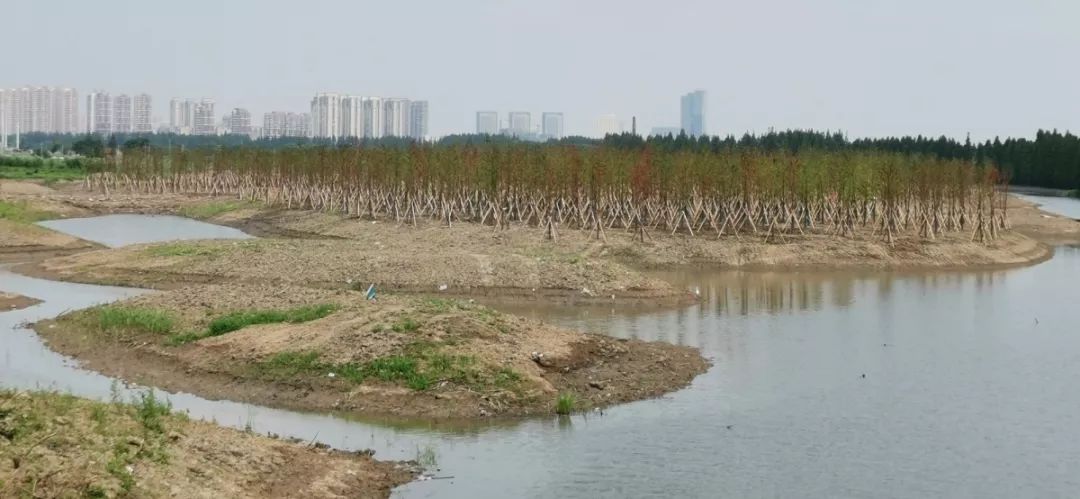 一线蹲点·太仓的生态环境越来越好，秘诀在这里