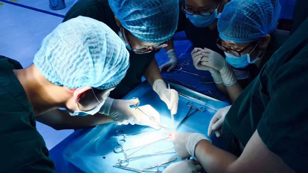 厦大五年本科,厦大读本科日常