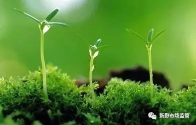 【业务之窗】关于宋超不服新野局对其投诉“河南省神州神药业有限公司生产销售非法添加夏枯草食品”回复的行政复议